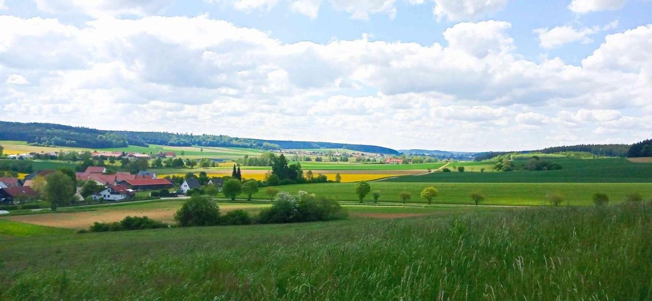 Ferienwohnung Im Barockwinkel Neuburg an der Kammel Zewnętrze zdjęcie
